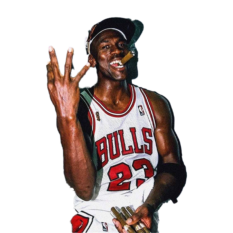 Person wearing a Chicago Bulls basketball jersey with the number 23 on a white background